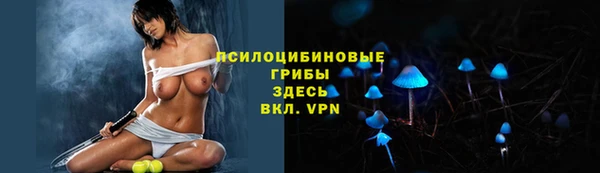 МДПВ Абинск